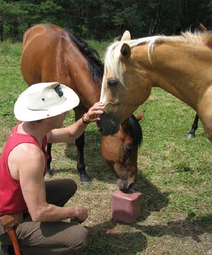 Glen Reid with his quarter horses